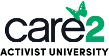 Activist University