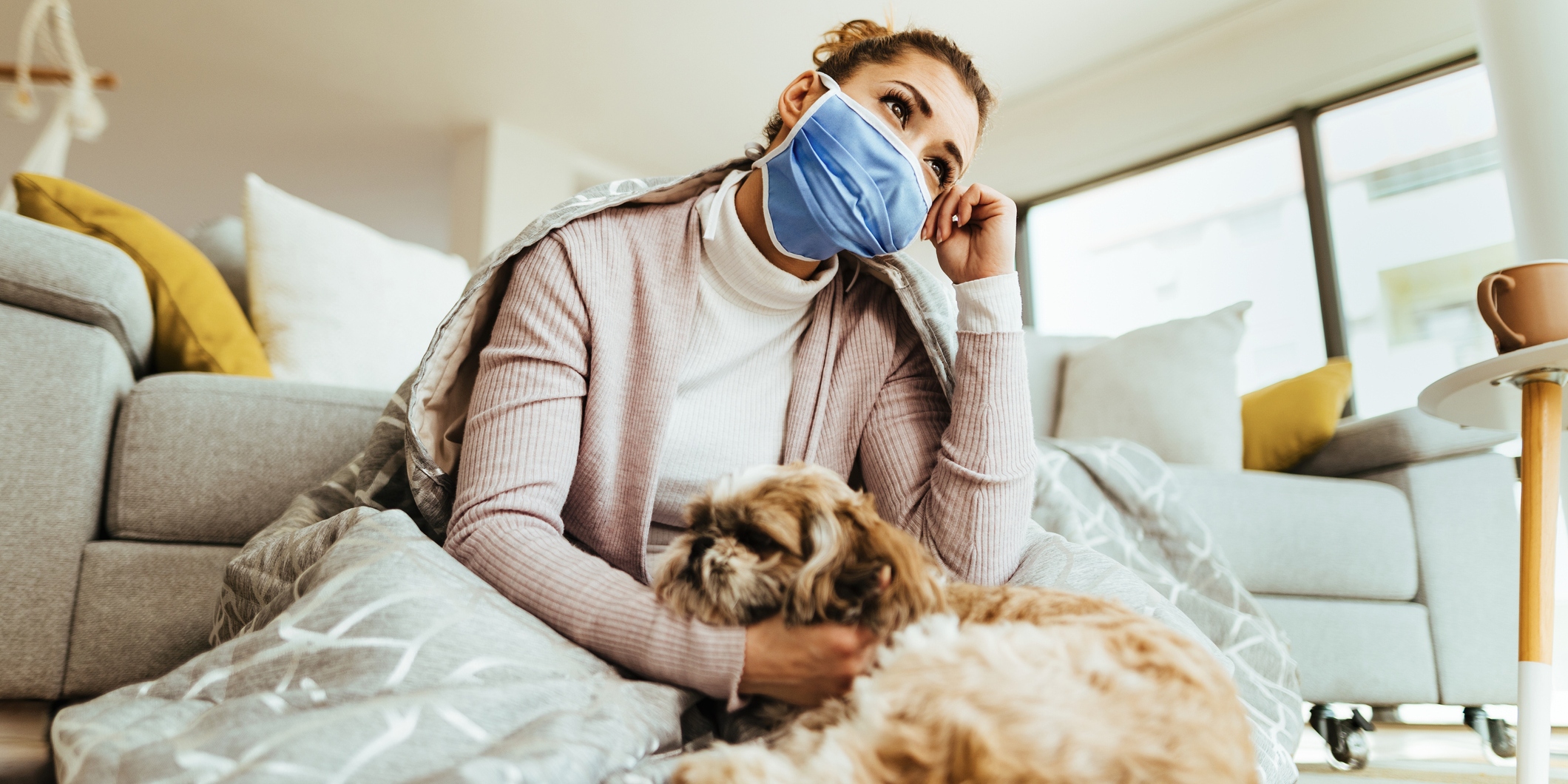 Собака с градусником. Болезни передаются собак. Заболела собака симптомы. Может собака заразиться от человека простудой. Может собака заразиться от человека простудой.